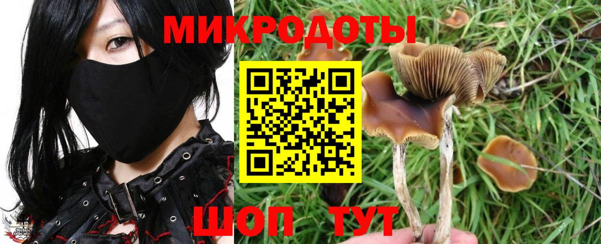 Острогожск  закладка  Вход с VPN  Галлюциногенные грибы Magic Shrooms 