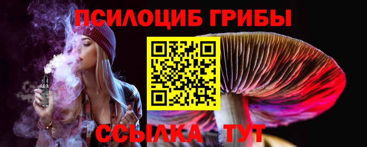 Псилоцибиновые грибы Psilocybine cubensis Острогожск